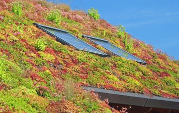 Hordle living roof systems