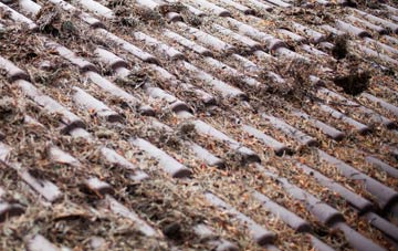 Hordle roof cleaning companies