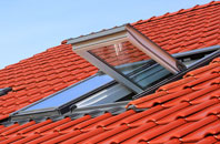 Hordle roof window